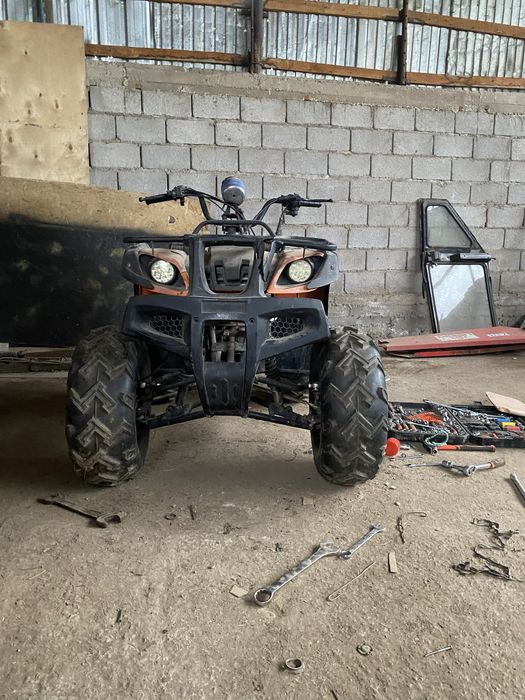 Квадрацикл 200 кб цепной ризина новая