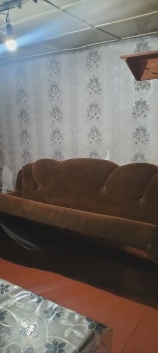 Дрм  Восточный  зимний вариант