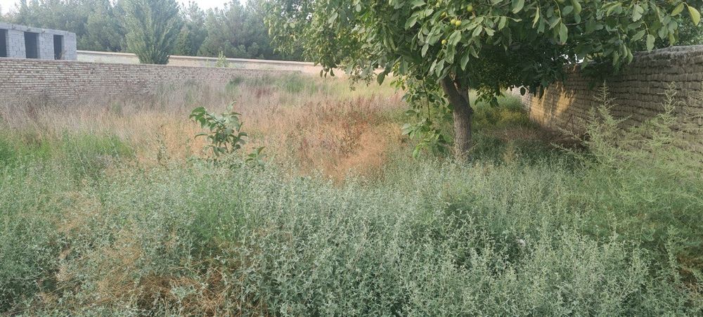 Er sotiladi Bolshivik periyezdidan utganda