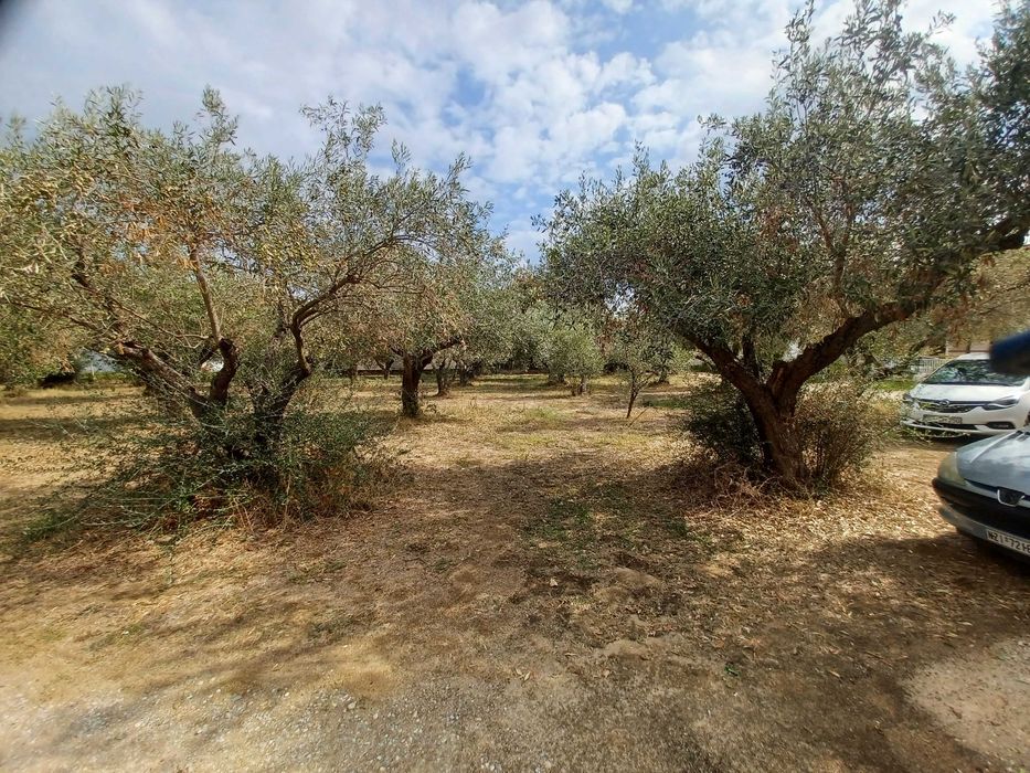 Продава се парцел 680 м2 в регулация в Неа Врасна, Гърция