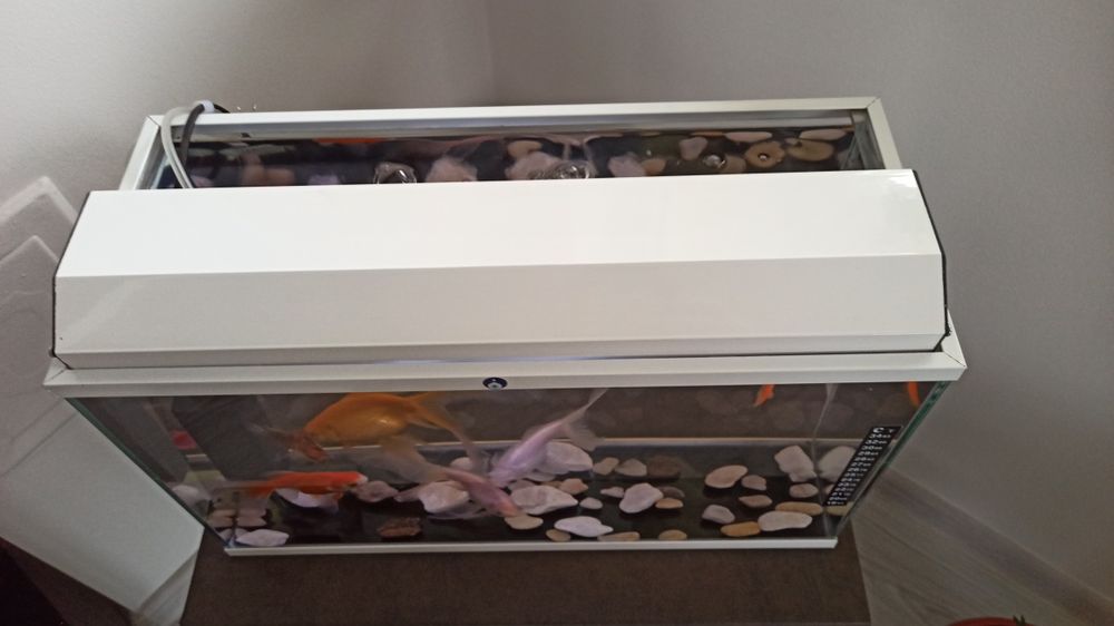 Аквариум + помпа и нагревател -  50 литра