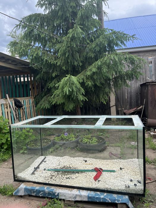 аквариум для рыб