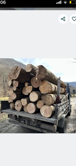 LEMNE FOC cel mai mic pret !