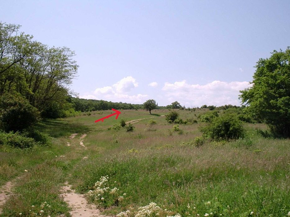 Продава се Парцел в София, Гео Милев - 9842 кв.м за 14 €/кв.м - Снимка #1