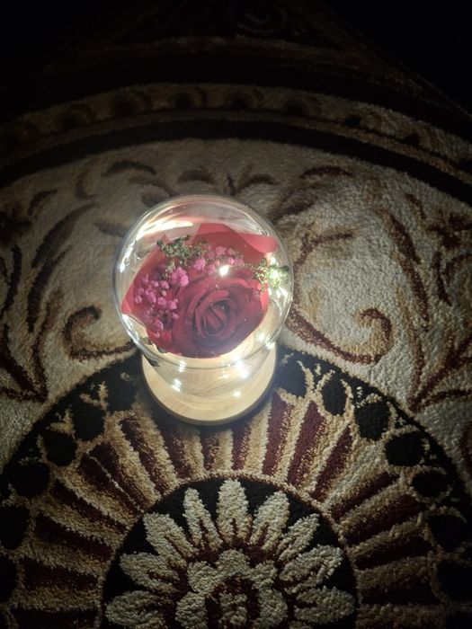 Бесконечные розы