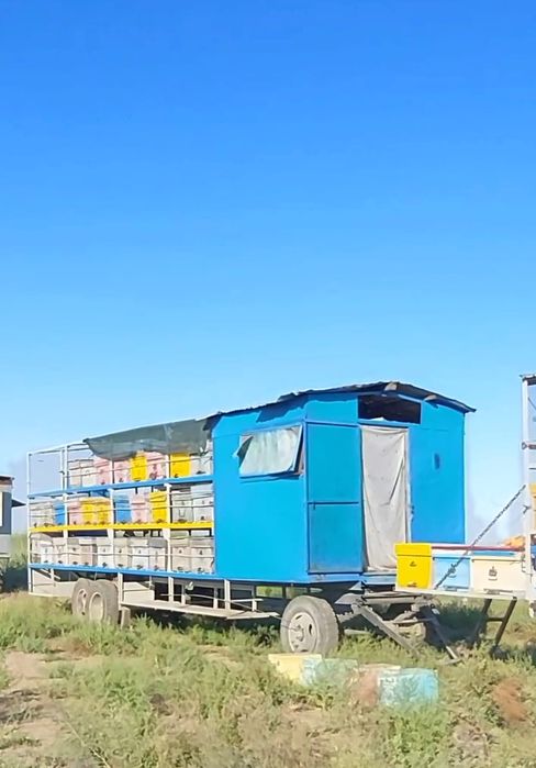 Пасека ( прицеп и пчёлы )