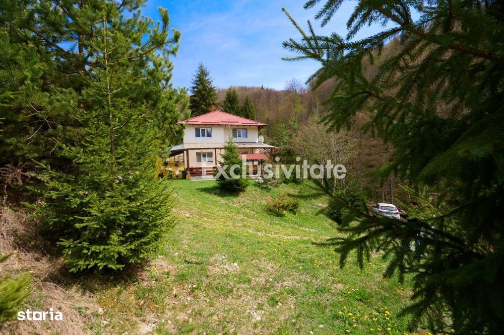 Casa Dambovicioara - CASA de vacanta sau PENSIUNE profitabila