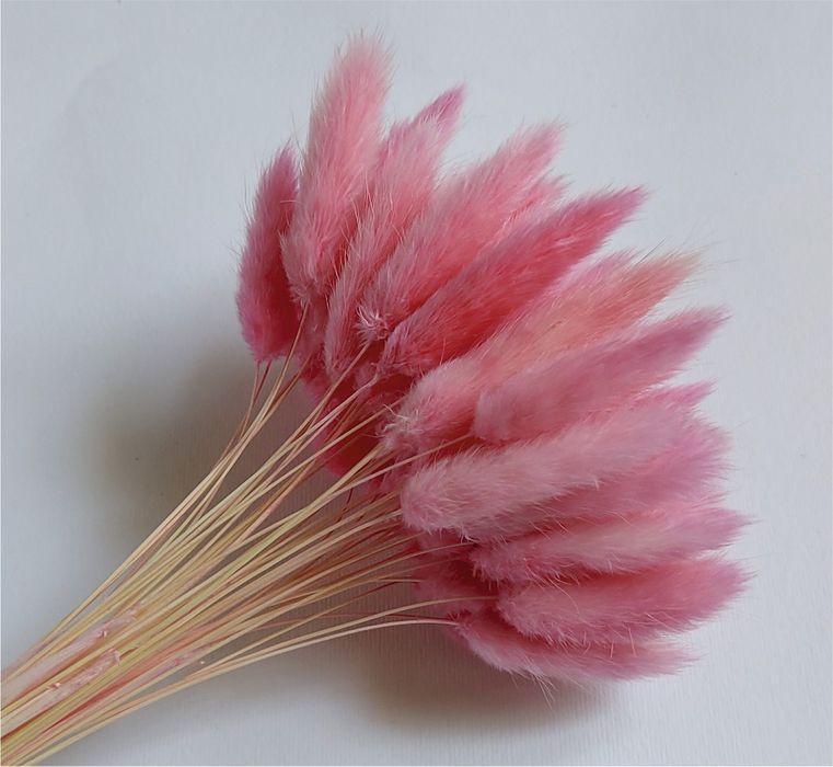 Сухоцветы для интерьера. ЛАГУРУС.