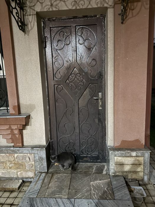 Дверь входная усиленная б/у