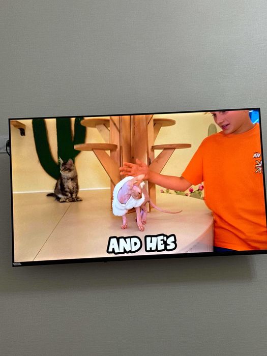 Телевизор Artel PUCH010 ,55″,4K UHD Android Tv