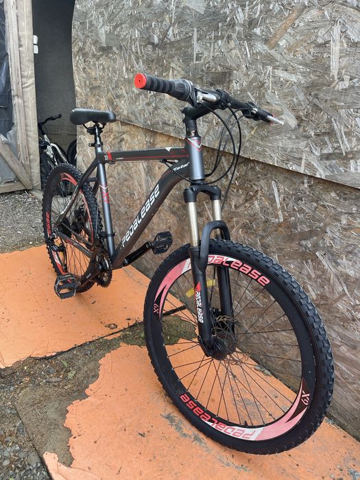 Bicicleta pedalease frane pe disc roti 26”