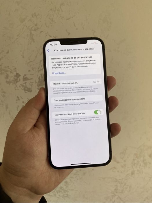 iPhone 12 Pro Max 256 GB