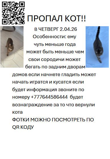 Пропал кот Район Мирный,Карбшева