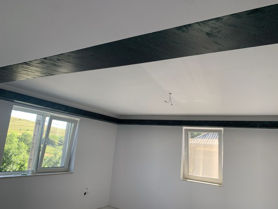 Vand casa 210mp in paniceni