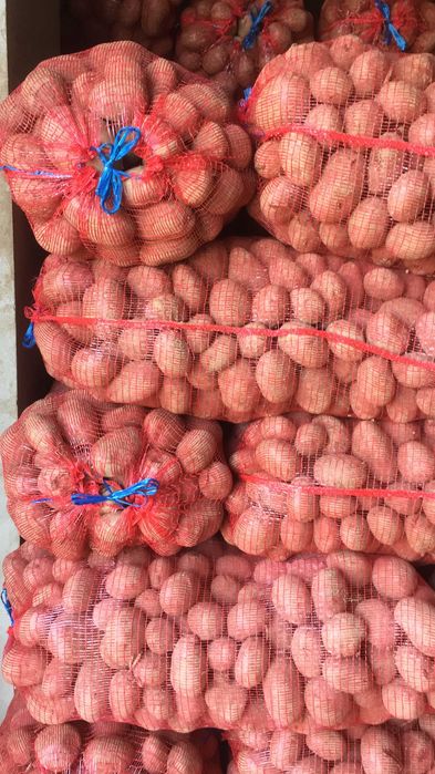 cartofi consum si samanta