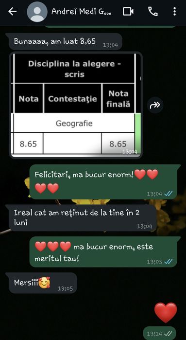 Meditati bac geografie