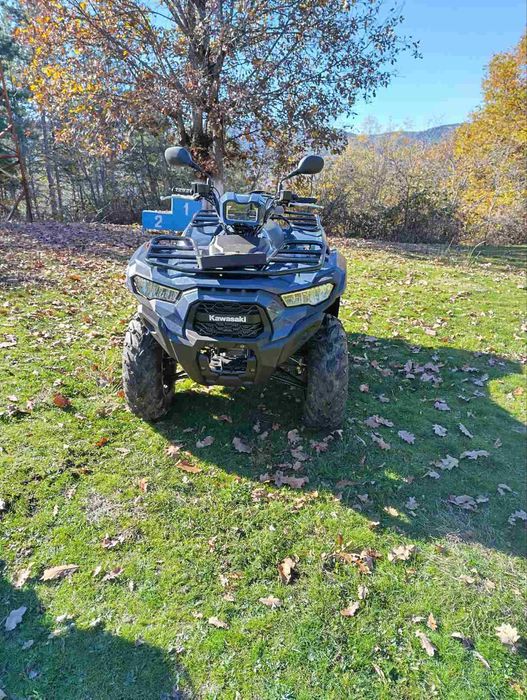 Kawasaki Brute Force 450