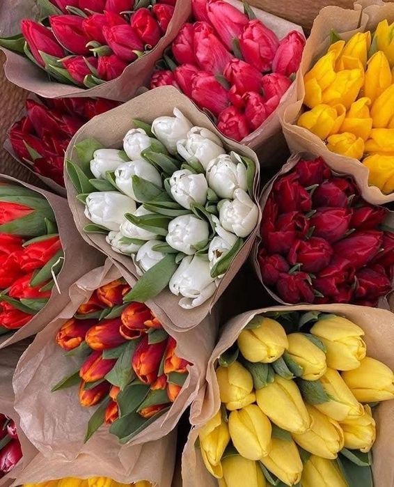 Тюльпаны оптом на 8 марта