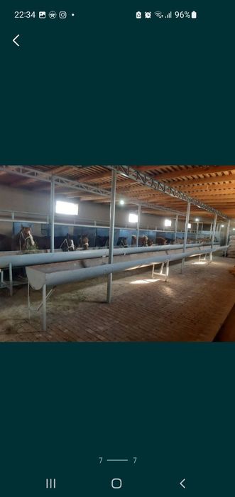 Uy sotiladi parni bor molxona bor xulas biznes qiladigamlar uchun