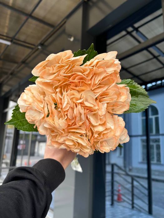 Гортензия ВИП Корпаративные заказы / Опт / Розница