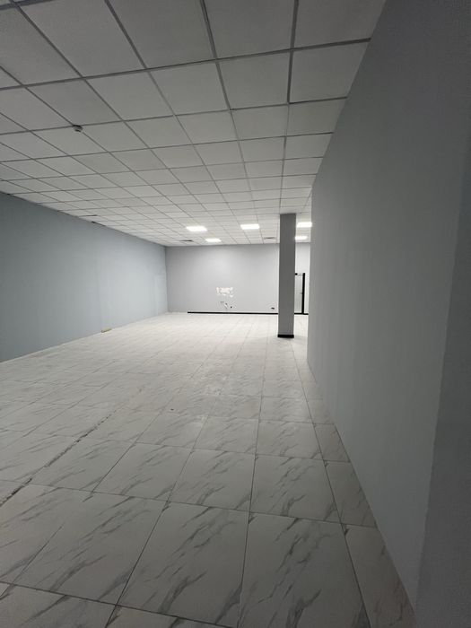 Офис около метро Пушкина 120 квм