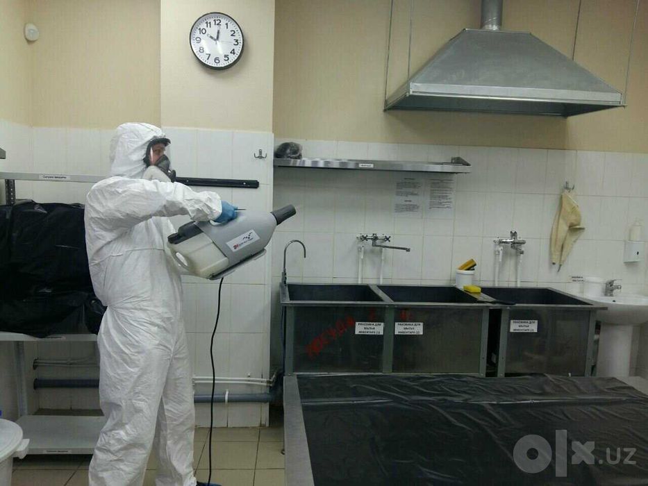 Dezinfeksiya kvartira ofis dom hovli klop klapa tarkan burga клоп блох