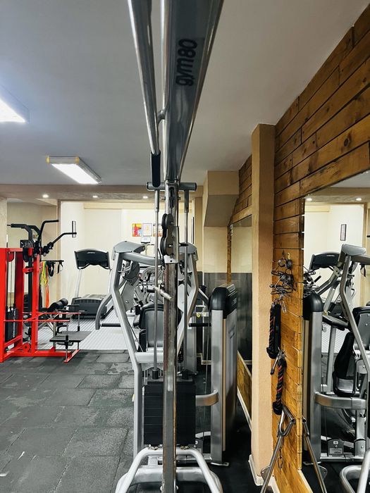 Портален скрипец