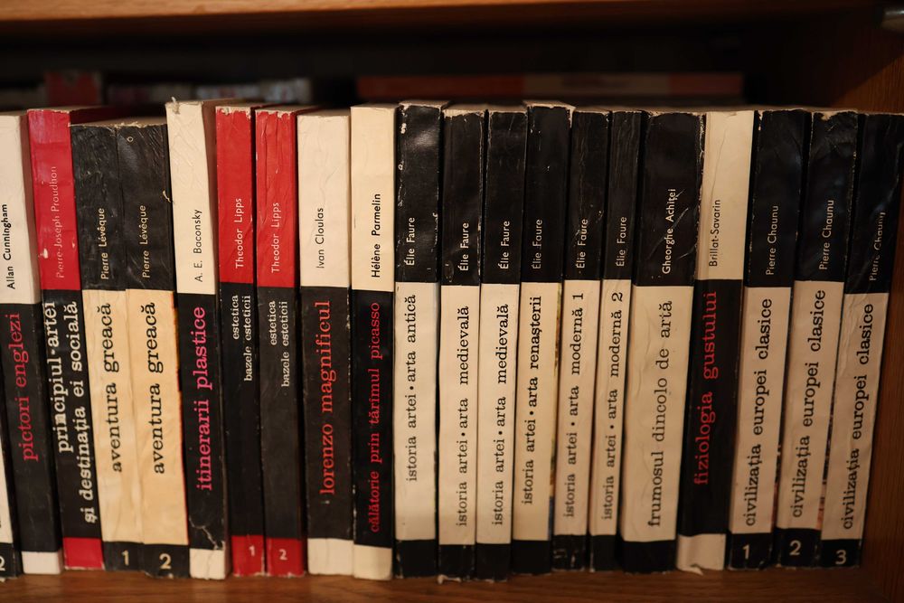 Colecție Completă Cărți de Artă și Civilizație — Seria Meridiane, 60+ Volume, Oprescu, Braudel, Faure, Chamoux