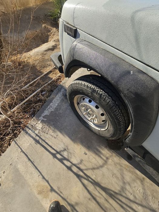 нива йили 1981 .