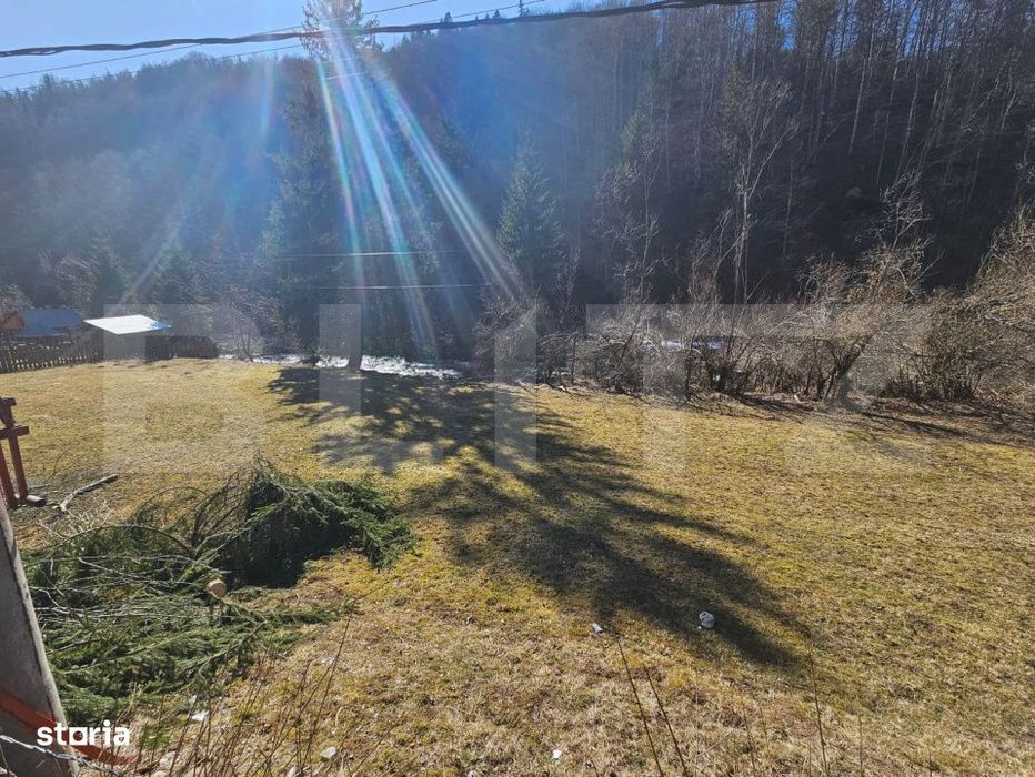 Teren intravilan 2690 mp la munte, Garda de Sus