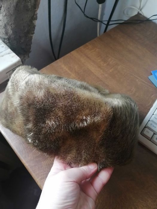 Шапка из шкурки нерпы