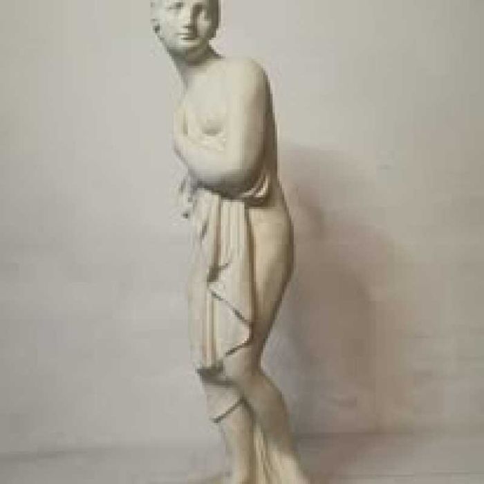 Statuie ipsos     ,
