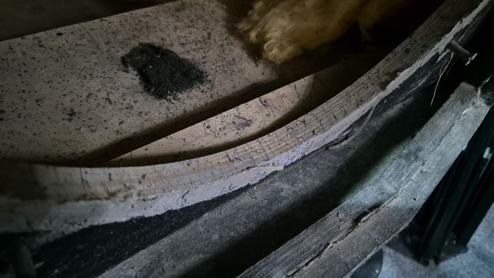 incinte boxe Subwoofer 15"