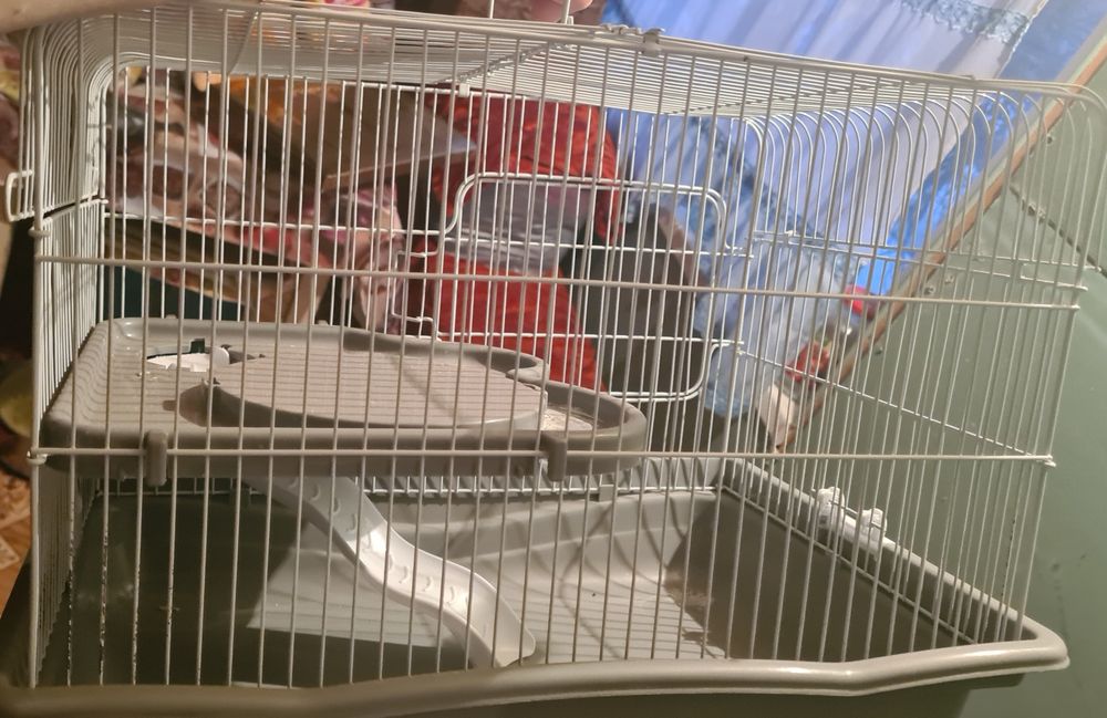 Клетка для грызунчика!