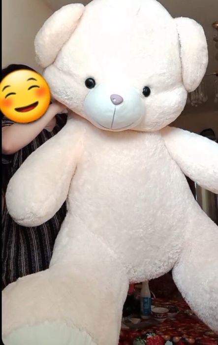 Большой медведь          .