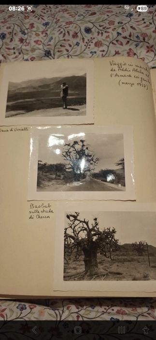Album foto original