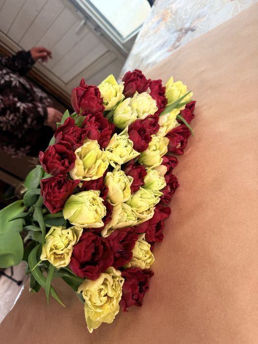 Продам тюльпаны оптом