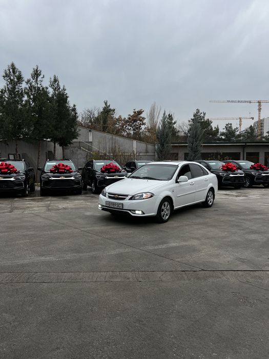 Жентра аренда ранги ок