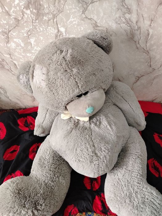 Катта тедй айик сотилади