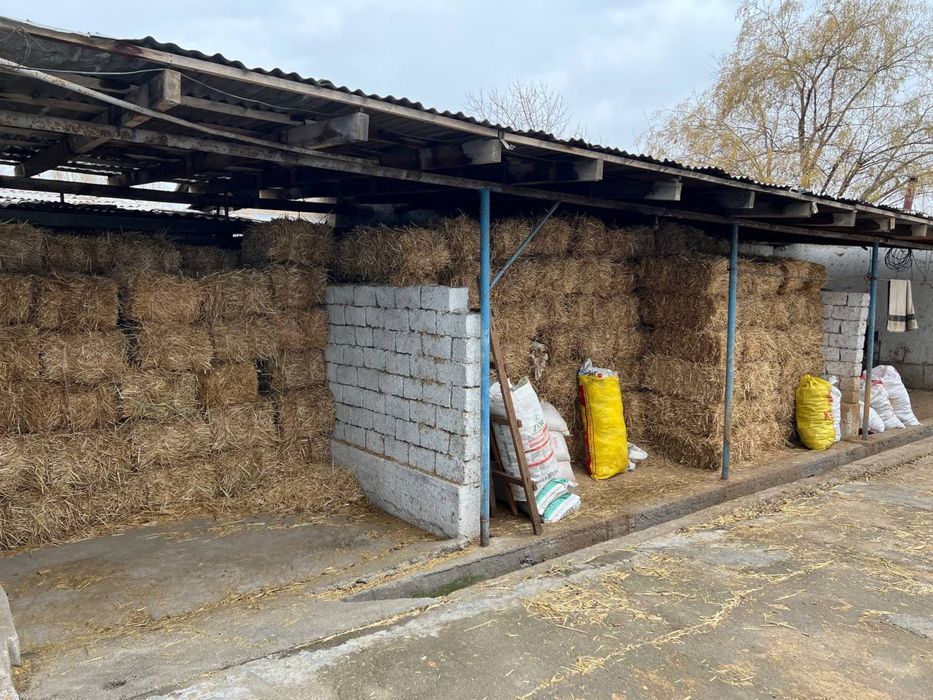 FERMA SOTILADI Qibray Arg’inda