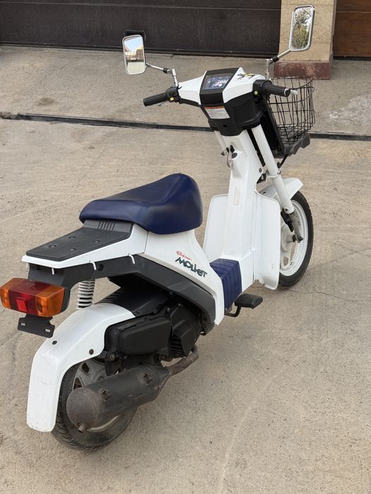 Suzuki super mollet