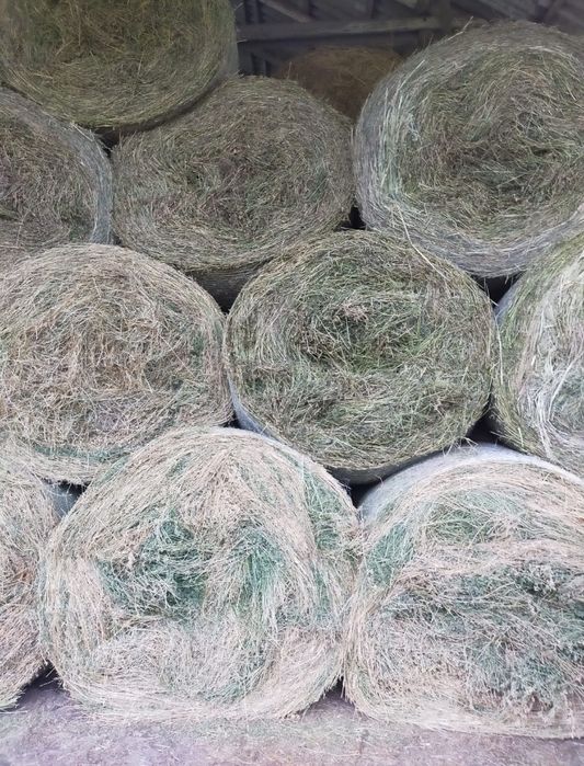 Baloti rotunzi de lucerna 120x120