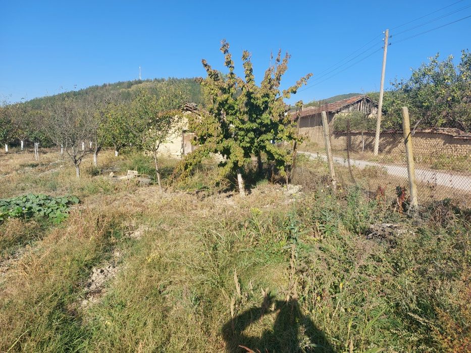 Парцел с овощна градина