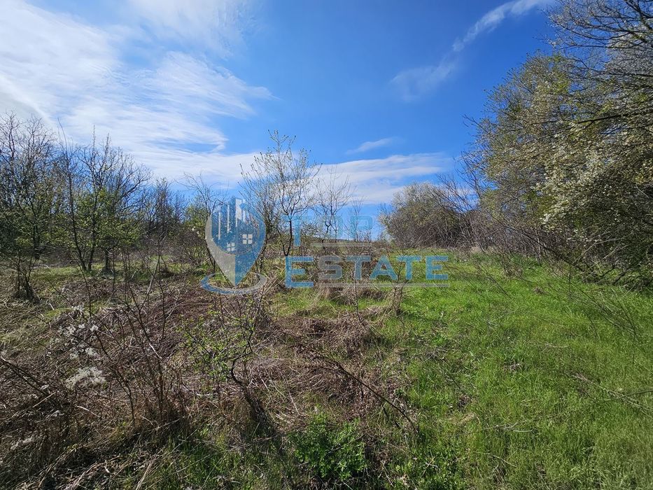 Голям парцел в регулация в южната част на село Хотница