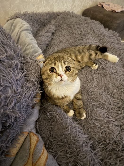 Вязка .. дла брачного знакомства