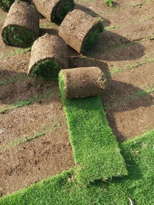 НАТУРАЛЬНЫЙ газон под ключ