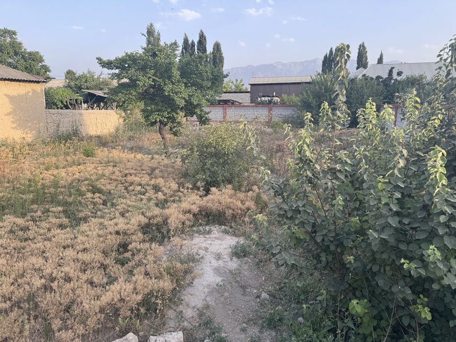 Чименда 10 сотихли чек