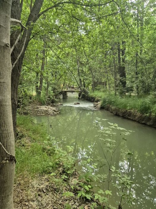 Участок Зангиота мечеть.