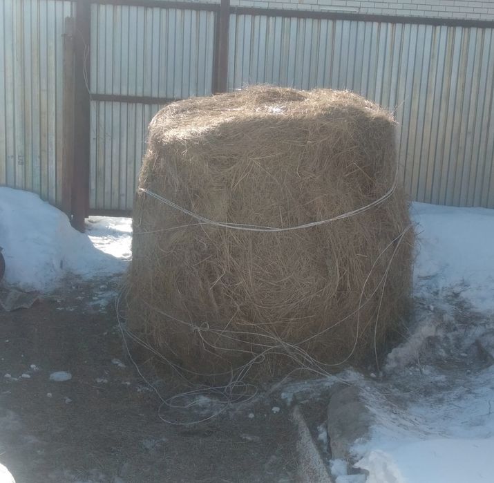 Сено рулон для скота