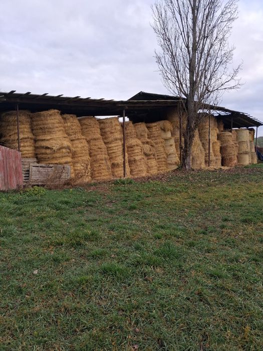 Vand baloti de fan si lucerna